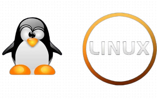 CentOS Linux 设置开机自动启动脚本(图)